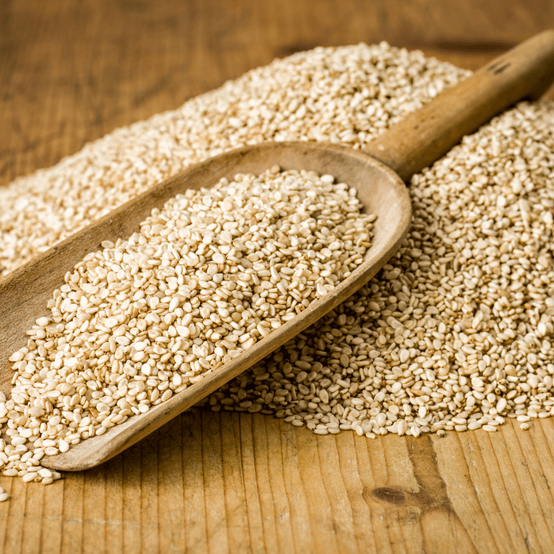 pro_01e_Sesame.png