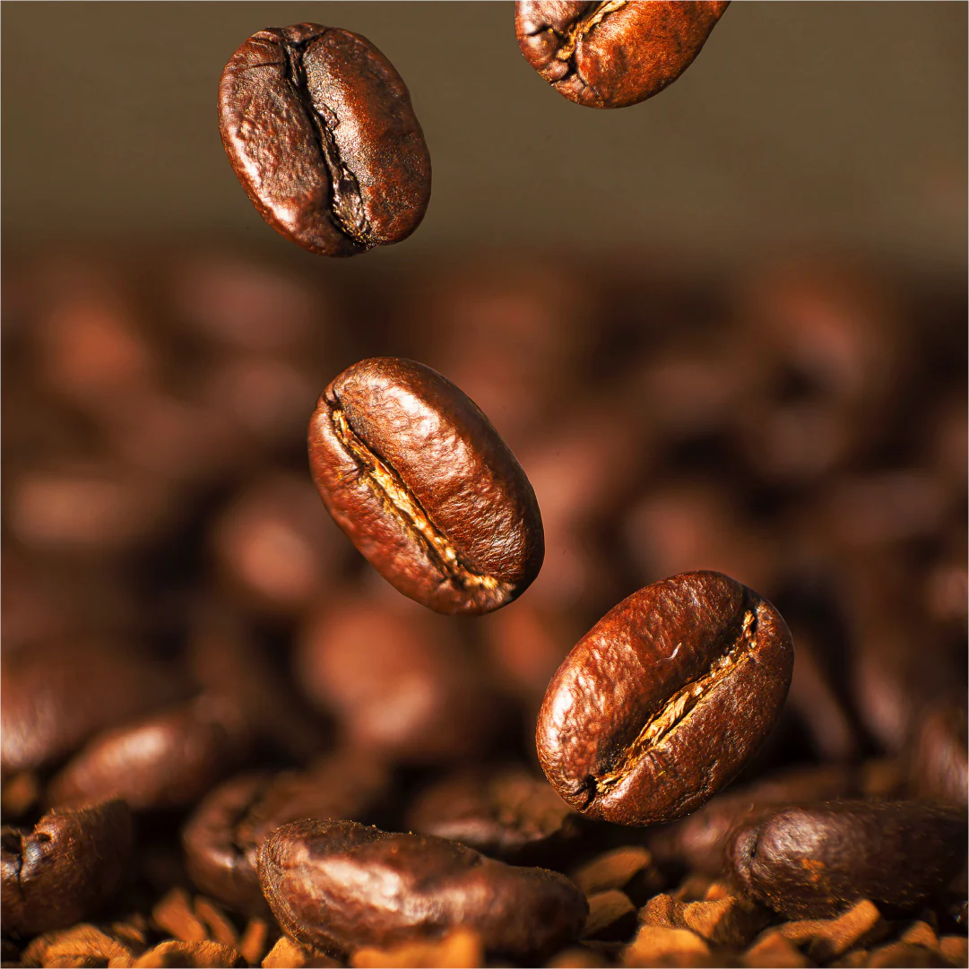 pro_28e_robusta-coffee.webp