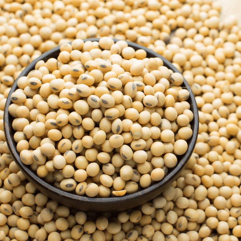 pro_fb3_soybeans.png